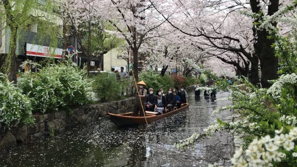 22年4月3日 桜のある風景と京都を歩く 四条大橋,先斗町,木屋町,河原町三条,三条名店街,新京極商店街,錦市場 Walk around Kyoto city,Japan vlog