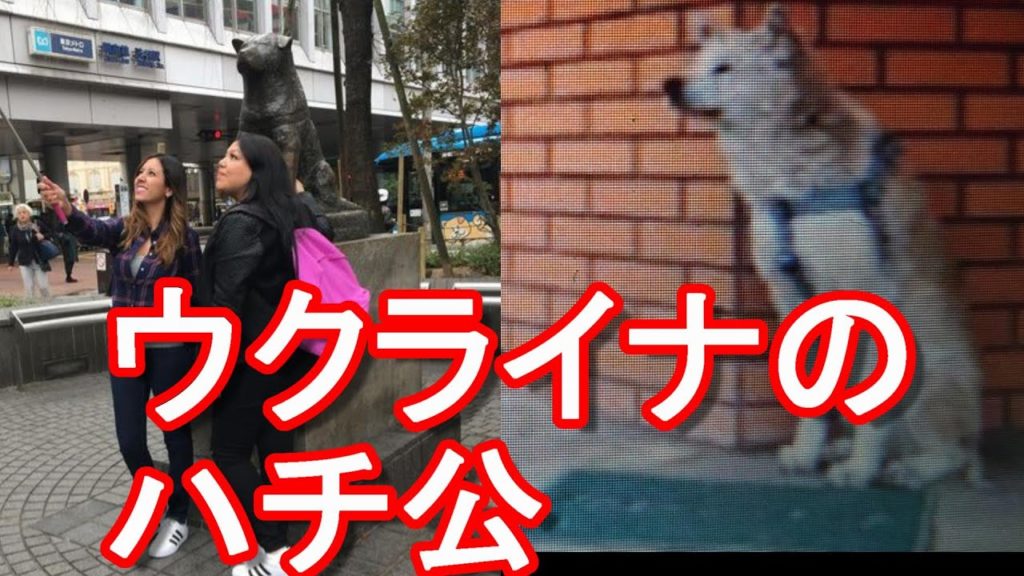 ウクライナの「ハチ公」殺害された飼い主を待ち続ける秋田犬のリーニー【緊迫のウクライナ情勢(103)】ロシアのウクライナ侵攻!東京-渋谷のハチ公-海外での日本犬(秋田犬や柴犬)人気-映画「HACHI」 ウクライナの「ハチ公」殺害された飼い主を待ち続ける秋田犬のリーニー【緊迫のウクライナ情勢(103)】ロシアのウクライナ侵攻!東京-渋谷のハチ公-海外での日本犬(秋田犬や柴犬)人気-映画「HACHI」