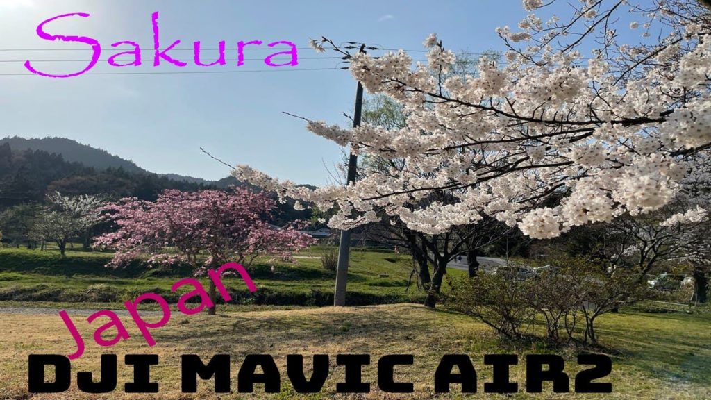 Sakura | Sea| Mountain | DJI MAVIC AIR 2 | 4K 60 FPS | 新潟 | Niigata