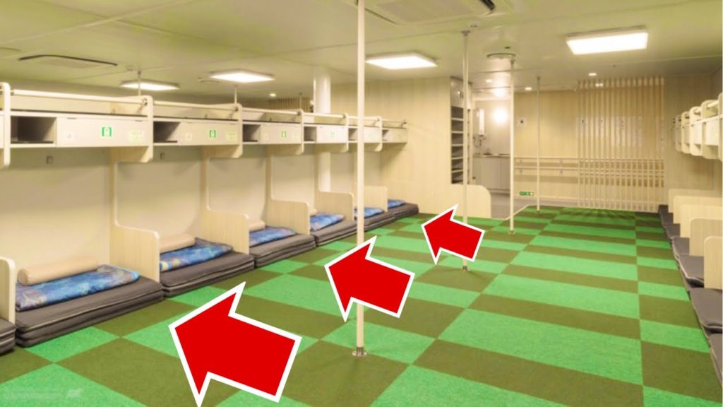 【World Natural Heritage】24-hour, 621-mile ⏰one-way boat trip to the Ogasawara Islands🚢 【World Natural Heritage】24-hour, 621-mile ⏰one-way boat trip to the Ogasawara Islands🚢