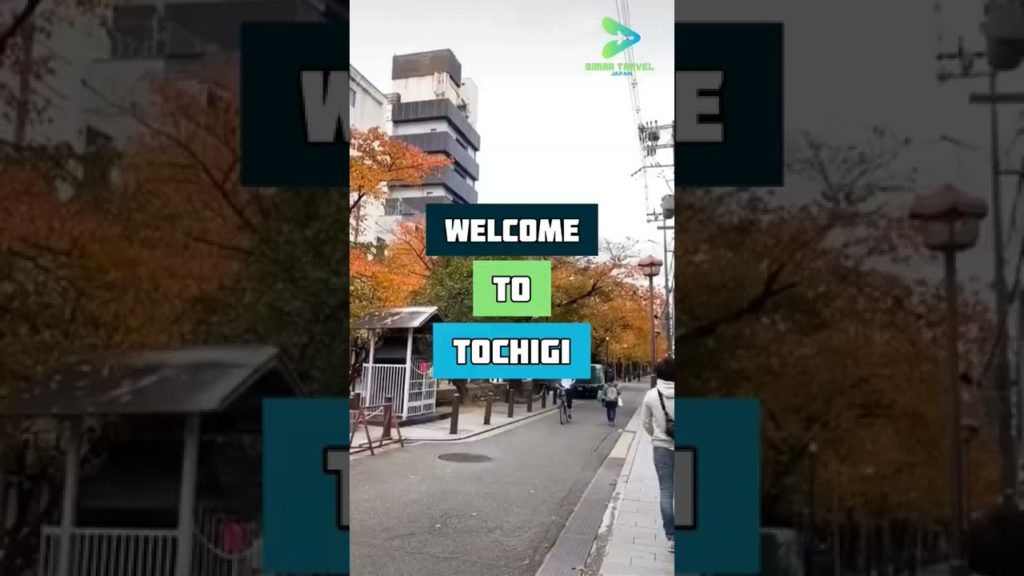 Welcome To Tochigi || tochigi japan || 栃木 || 日本旅行 || #shorts