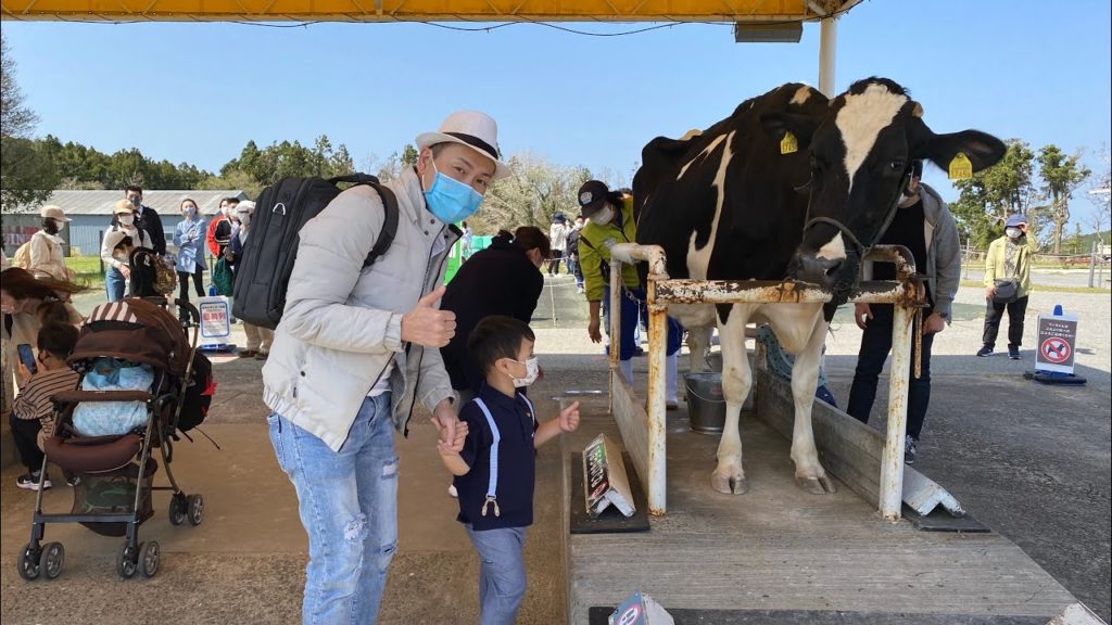 An unforgettable experience in Mother Farm Chiba, Japan #organicfarming #japanesenature #cowmilking