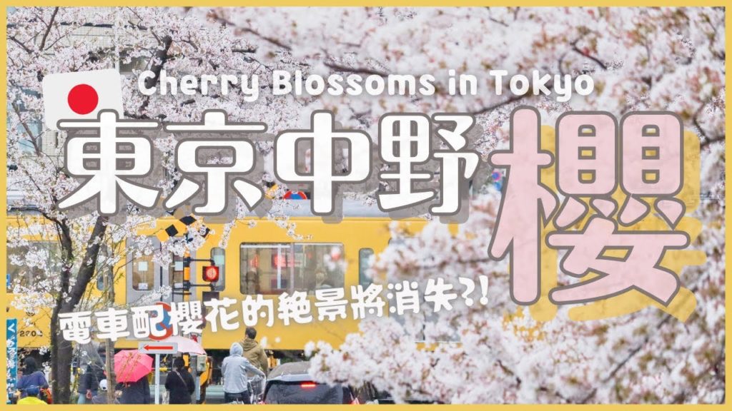 東京櫻花2022🌸電車加櫻花的風景將消失?!中野通櫻花大道/新井藥師前櫻花電車天橋/中野商店街Sun Mall｜日本4K賞櫻散步VLOG