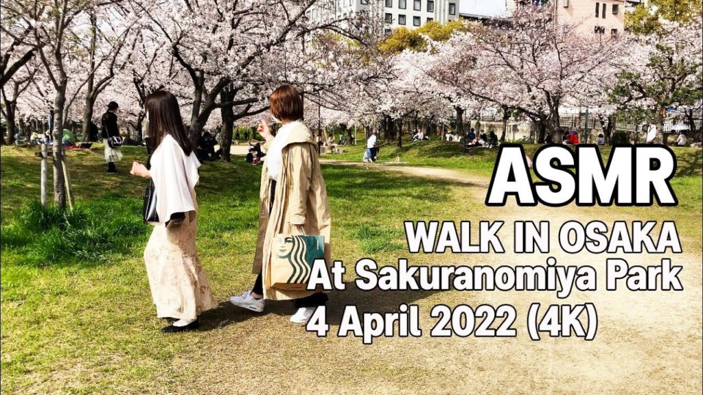Japan Walking trip : Walked at Sakuranomiya Park in Osaka Japan 2022 (Cherryblossom) - Walking Trip