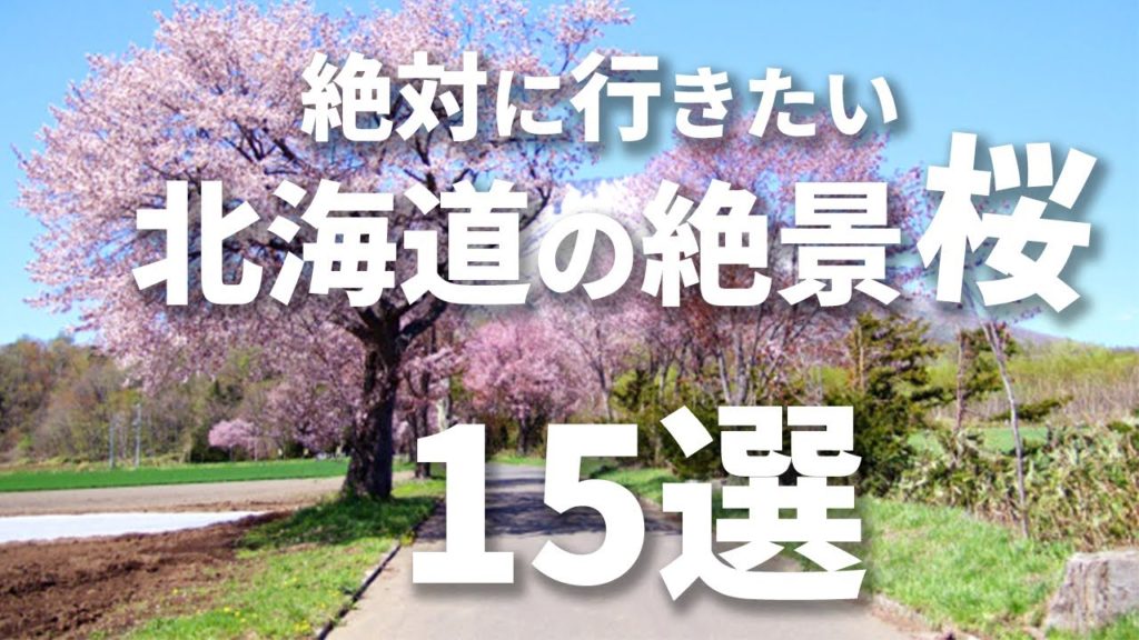 【完全保存版】絶対に外せない北海道の絶景桜スポット15選 【お花見】 【完全保存版】絶対に外せない北海道の絶景桜スポット15選 【お花見】