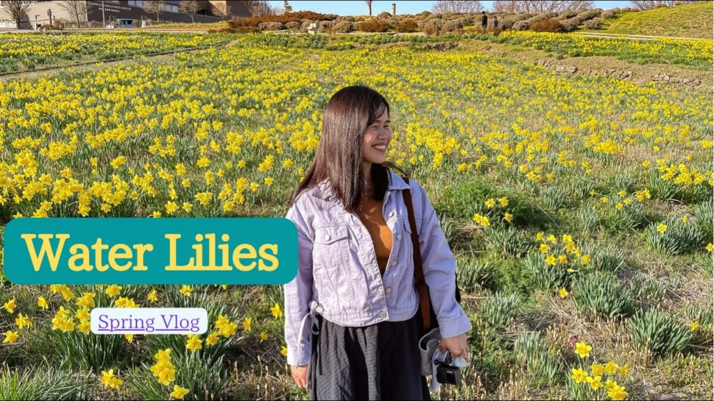 A quick trip to water Lilies at Nagano Japan|Pinksampaguita