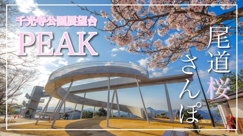 【尾道桜さんぽ】千光寺公園展望台『PEAK』リニューアル、絶景の桜景色がここに！～Onomichi Sakura Walk～（広島県尾道市）／備後カメラ部【朝景色】