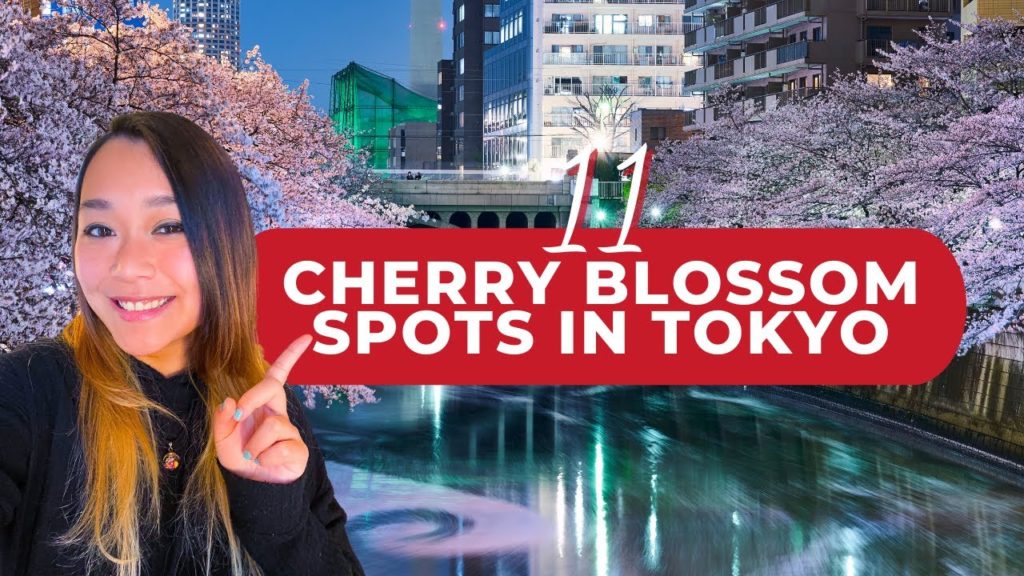 Cherry blossom in Tokyo 2022: 11 Best sakura spots you shouldn't miss Cherry blossom in Tokyo 2022: 11 Best sakura spots you shouldn't miss