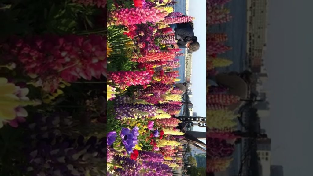 みなとみらい臨港パーク