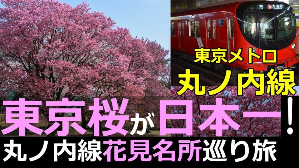 【丸ノ内線】丸ノ内線で東京の花見の名所を巡る鉄旅 【丸ノ内線】丸ノ内線で東京の花見の名所を巡る鉄旅