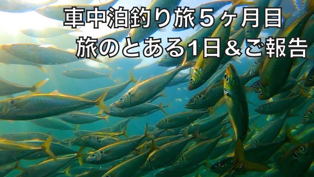 釣り車中泊生活５ヶ月目突入！極上の魚を作る施設に潜入した話とちょっとしたご報告。