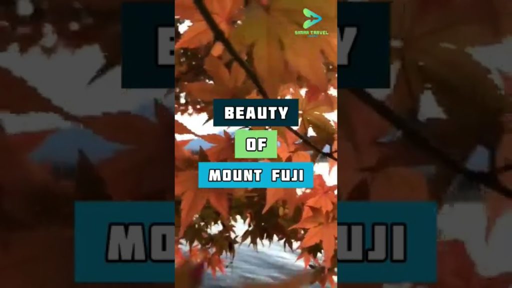 Beauty Of Mount Fuji || mt fuji japan || mount fuji || #shorts Beauty Of Mount Fuji || mt fuji japan || mount fuji || #shorts