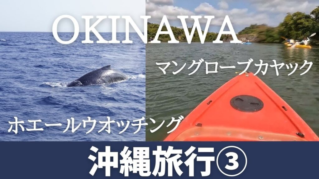 旅行Vlog 沖縄旅行【Okinawa Travel　マングローブカヤック＆ホエールウォッチングツアー】