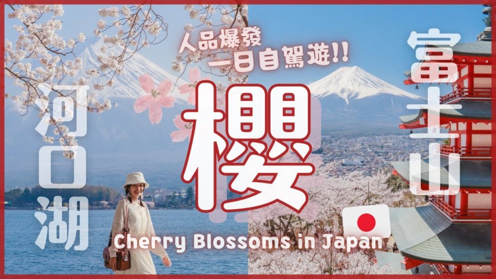富士山與滿開櫻花🌸河口湖周邊一日自駕遊｜新倉山淺間公園 新倉富士淺間神社 餺飥不動東戀路店 河口淺間神社遙拜所 富士河口湖櫻花祭｜日本賞櫻散步VLOG｜4K
