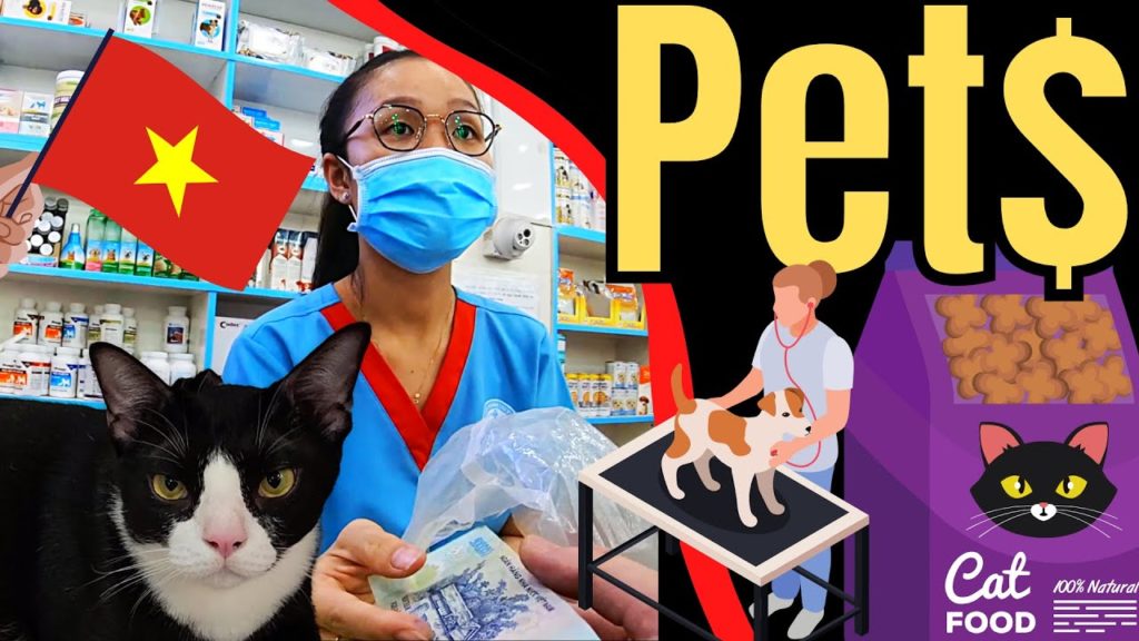 Pet Clinics & Pet supplies - Ho Chi Minh City (Saigon) Vietnam