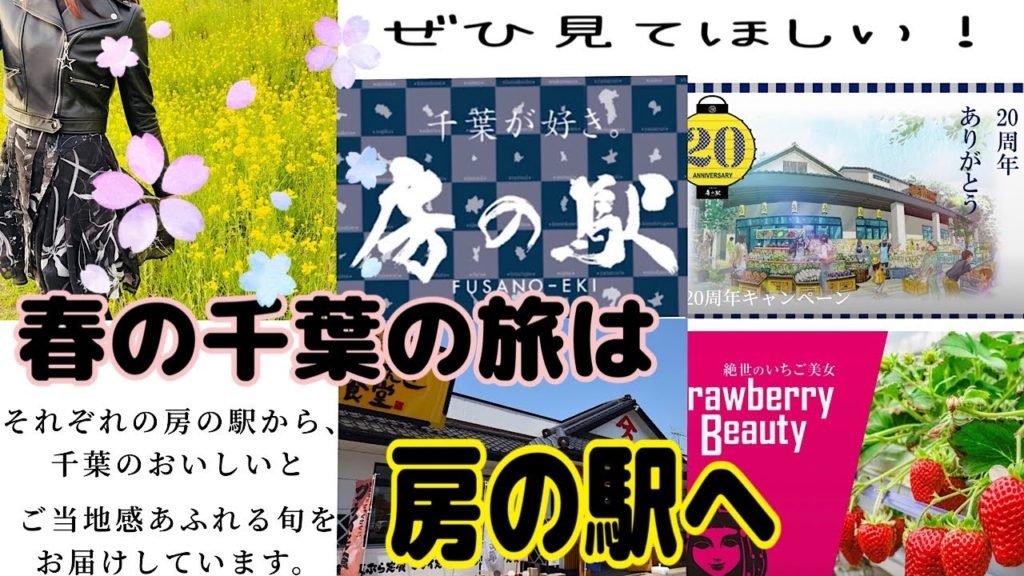 【房の駅】ＧＷは千葉へ‼️道の駅だけでも大満足💖子供から大人まで、家族全員が大興奮のお土産屋さん(´˘`＊) You should go on your trip to Chiba🚗 ³₃