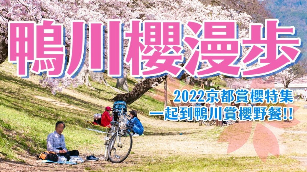 京都鴨川賞櫻野餐之旅🌸挑戰走完整條鴨川上下游！鴨川公園、半木之道、加茂街道、花之迴廊，京都鴨川4K賞櫻散步影片｜京都一日賞櫻景點攻略・日本旅遊VLOG