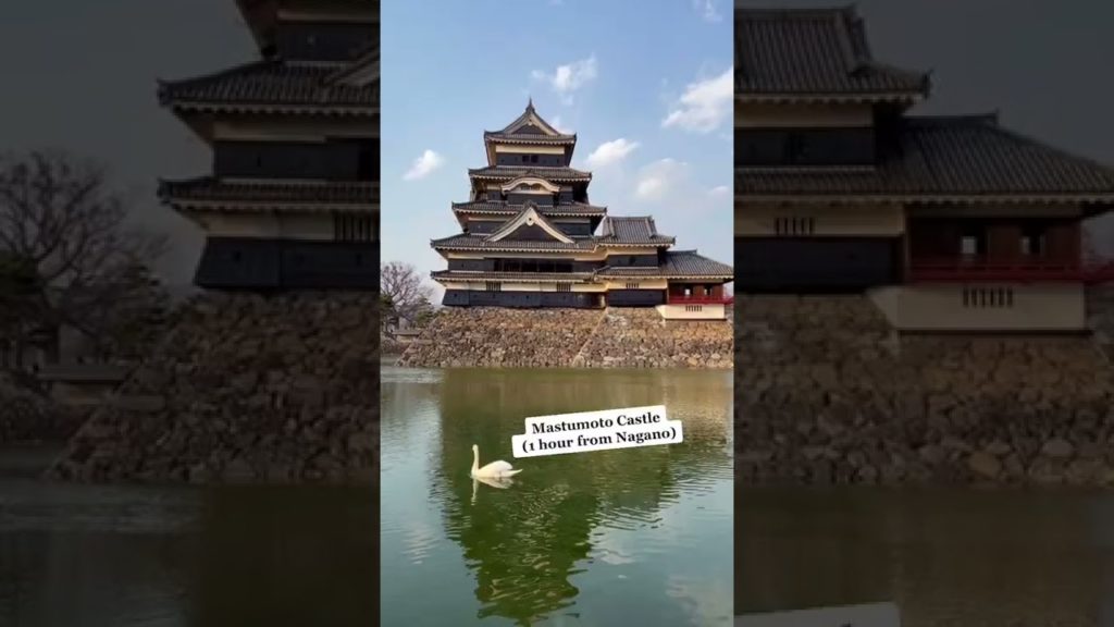 Japan has always been a fascinating and distinctive place to visit #Shorts Japan has always been a fascinating and distinctive place to visit #Shorts