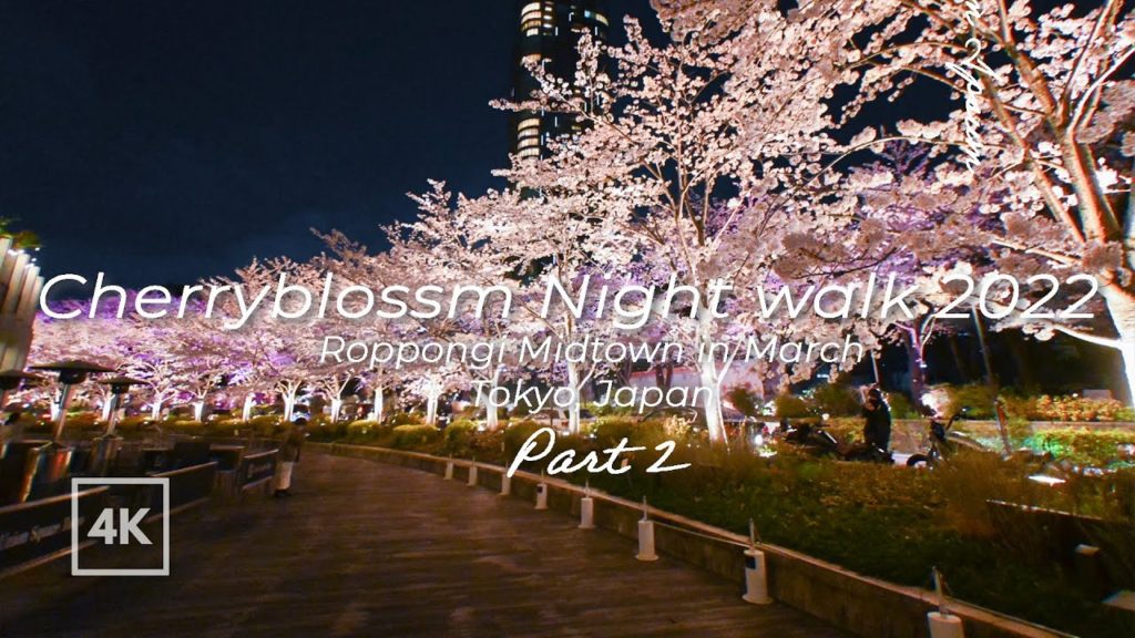 [4K] Japan night walk |Hanami|Tokyo | Cherry blossoms in Roppongi Midtown|東京 夜桜 2022 花見 散歩 六本木 Part2
