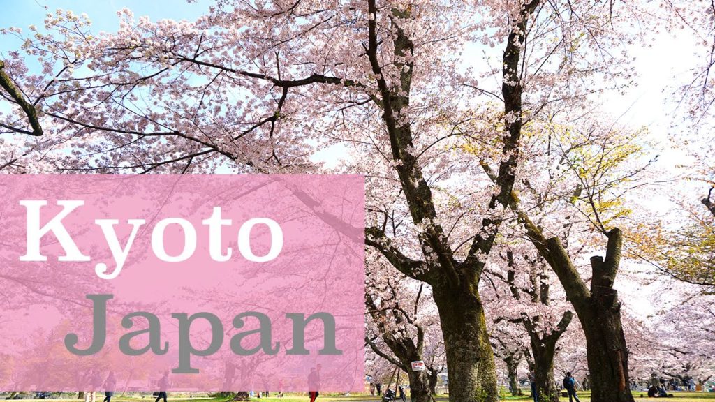 Trip to Kyoto, Japan | Travel Vlog
