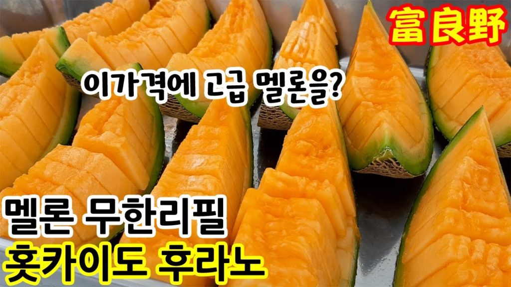 일본 홋카이도 고급 멜론 무한리필 맛집 l 한일부부의 일본여행 북해도 여름 후라노 ep.2 l 여행 꿀팁