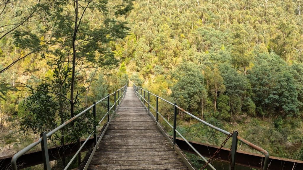 4K Virtual Walk - Poverty Point Bridge Loop [Walhalla][Relax Music]
