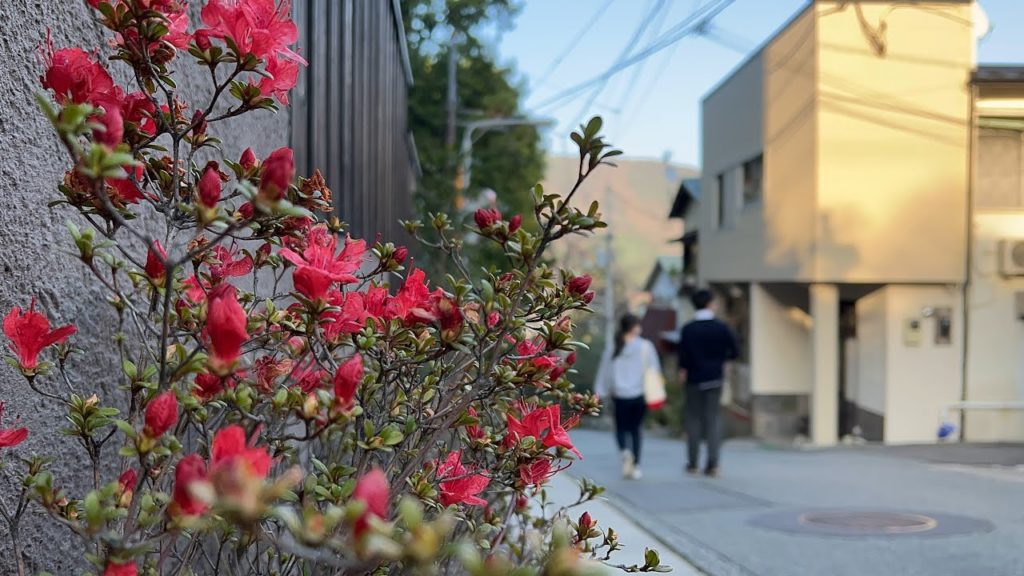 Japan 4K Walk GORA 強羅 Japan 4K Walk GORA 強羅