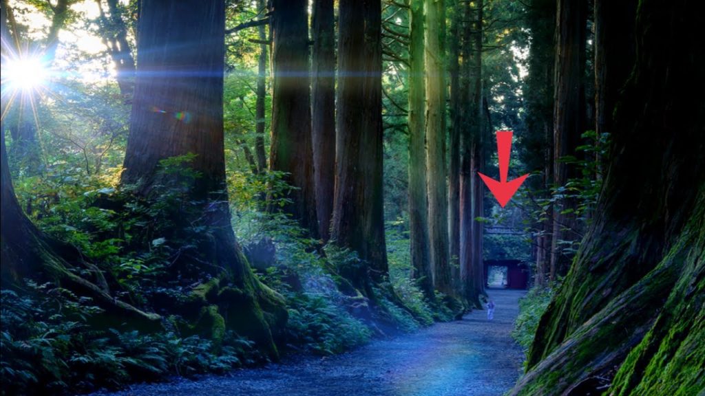 *前に進める人は良いことも悪いことも受け入れられる覚悟がある人です。そんな人にぴったりな力強い波動を持った神様のご利益を受け取ってください【戸隠神社奥社 九頭竜神社】 *前に進める人は良いことも悪いことも受け入れられる覚悟がある人です。そんな人にぴったりな力強い波動を持った神様のご利益を受け取ってください【戸隠神社奥社 九頭竜神社】