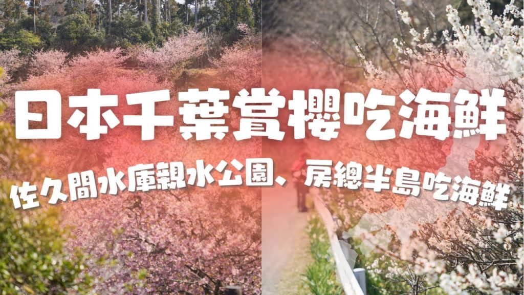 【第一視角遊日本】千葉鄉下賞櫻花、海港吃海鮮去！｜日本旅遊｜4K｜旅遊Vlog