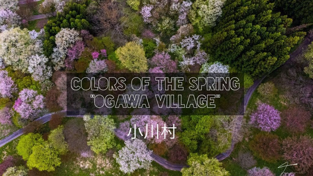 Discover Japan:”Colors Of the Spring” Ogawa Village Nagano Prefecture Japan Discover Japan:”Colors Of the Spring” Ogawa Village Nagano Prefecture Japan