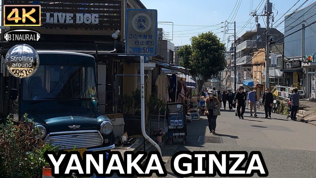 YANAKA Ginza Shopping Street and Yomisedori Shopping Street – 4K Tokyo Japan YANAKA Ginza Shopping Street and Yomisedori Shopping Street - 4K Tokyo Japan
