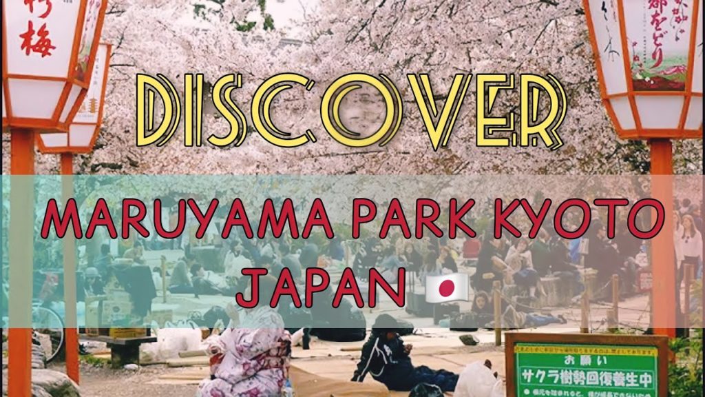 MARUYAMA PARK KYOTO JAPAN WALKING TOUR 4K | Maruyama Park 円山公園