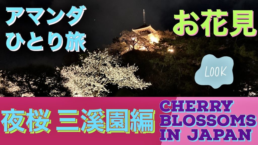 アマンダひとり旅 夜桜見に行こうよ!三溪園編 Sakura in Sankeien @ night アマンダひとり旅 夜桜見に行こうよ!三溪園編 Sakura in Sankeien @ night