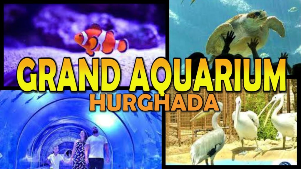 Hurghada GRAND AQUARIUM Walking Tour - Egypt (4K)