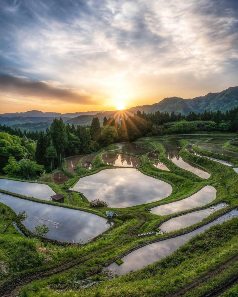 Visit Japan: The Ueyama Rice Terraces in Kami Town, Hyogo Prefecture are a gorgeous example o… The Ueyama Rice Terraces in Kami Town, Hyogo Prefecture are a gorgeous example o...