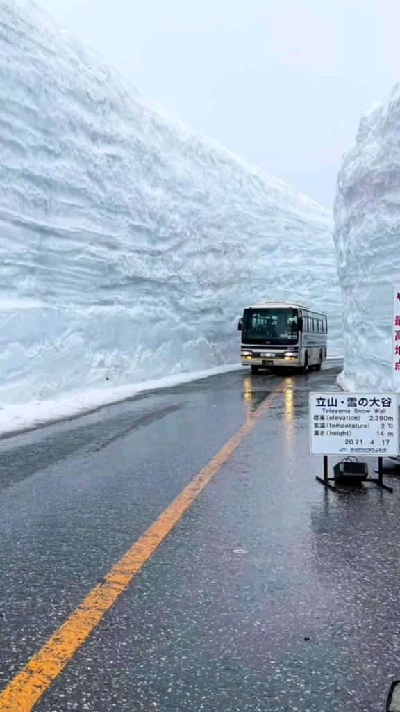 While many of us are admiring cherry blossoms and other seasonal blooms, one par...