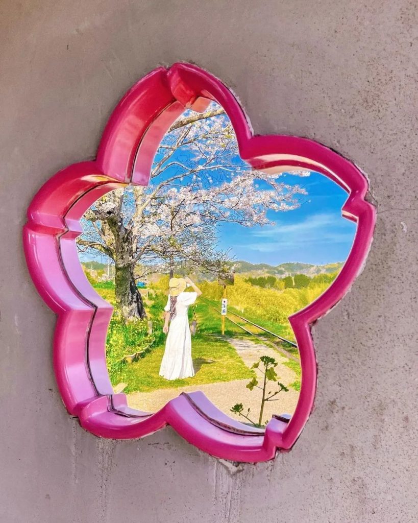 Japan Travel: Is there a more appropriate window to appreciate sakura season from? This cherry… Is there a more appropriate window to appreciate sakura season from? This cherry...