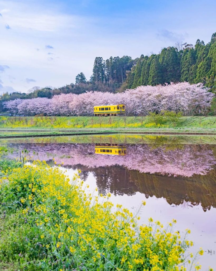 Travelling by train is one of the best ways to take in idyllic views of the Japa...