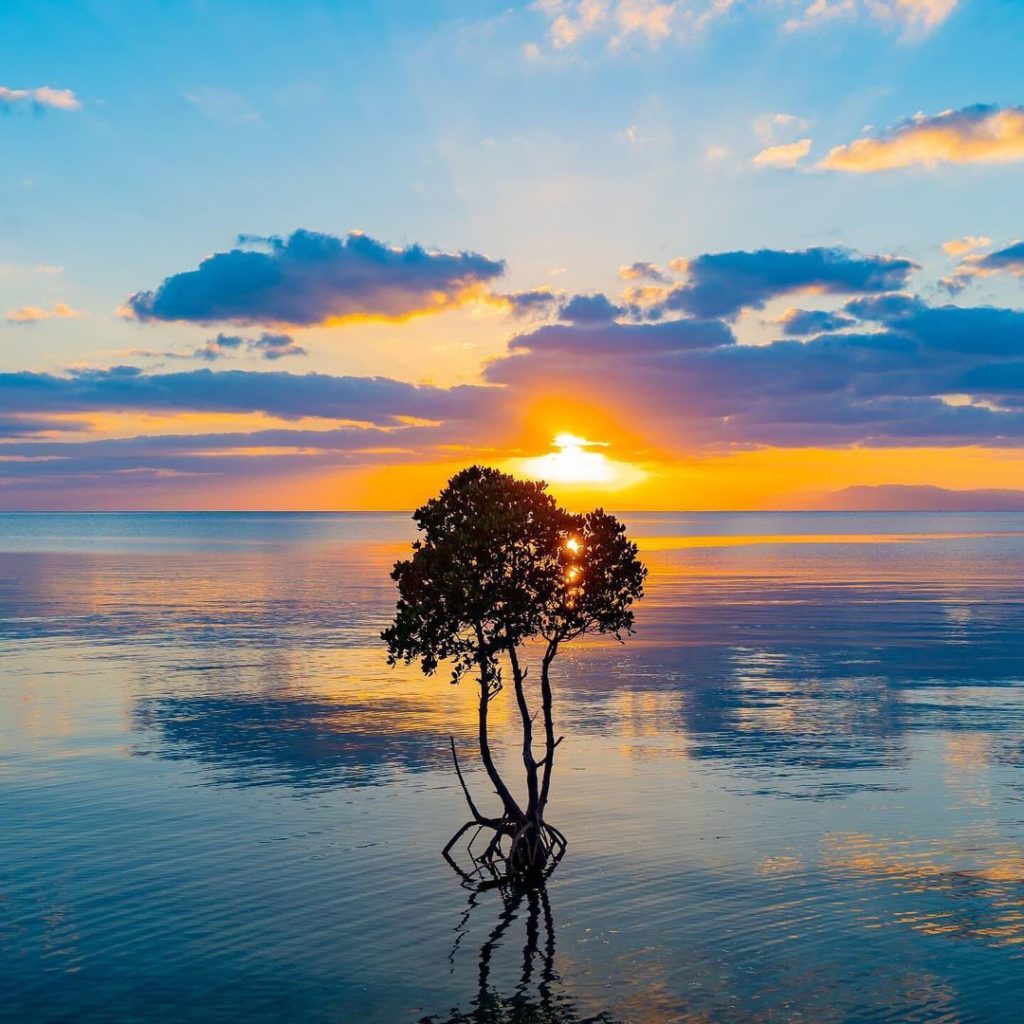 The vast tidal flats of Ishigaki’s Nagura Bay are particularly photogenic at hig...