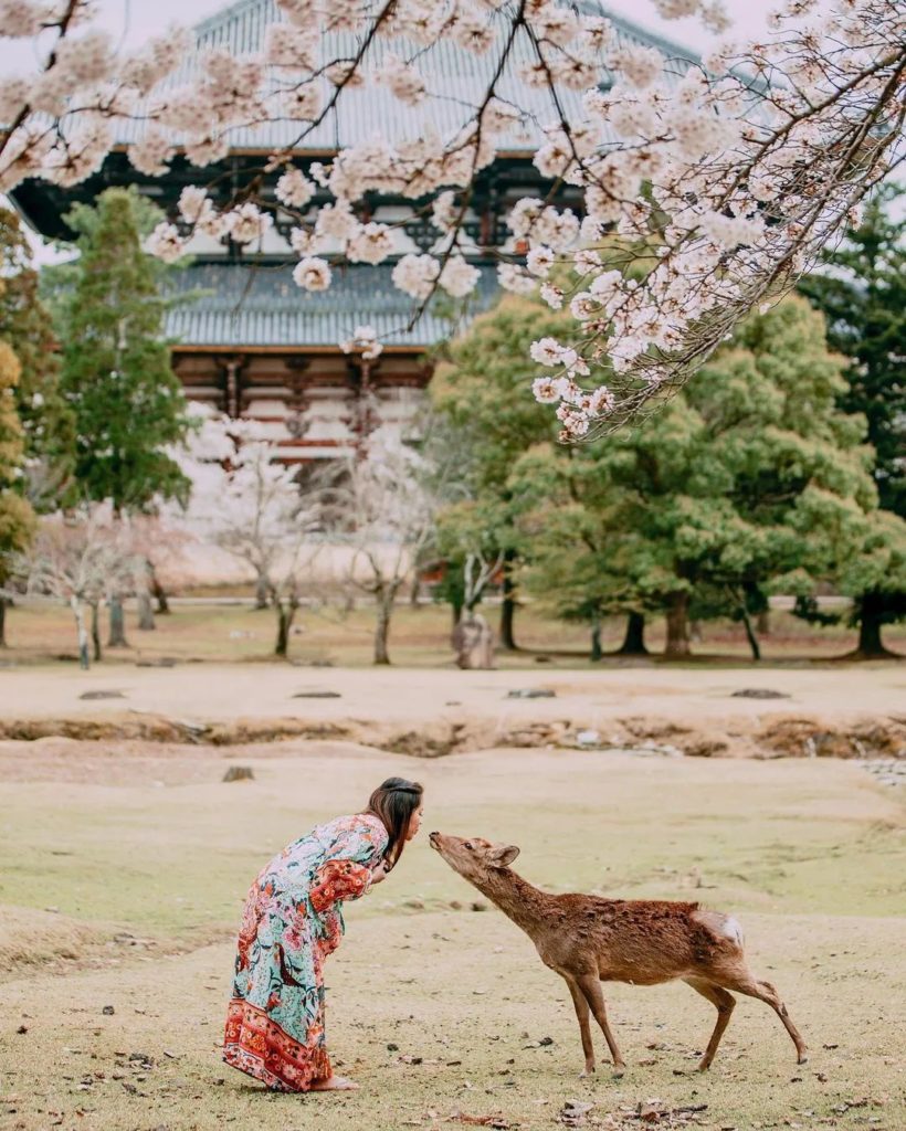 Japan Travel: Spring is always best celebrated with a friend!
: @j.carlosteles
—–
Nara P… Spring is always best celebrated with a friend!
: @j.carlosteles
-----
Nara P...