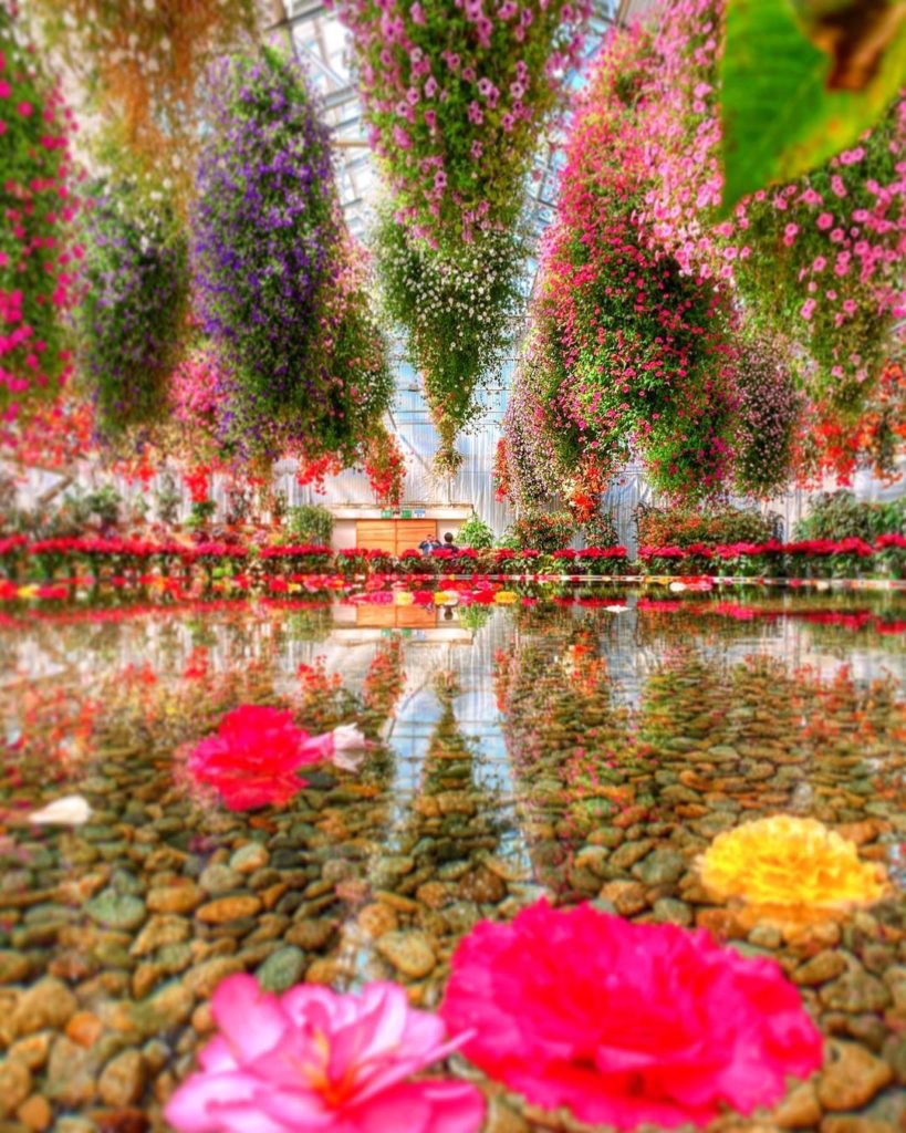 Japan Airline: .
一面カラフルな世界が広がる #なばなの里
大温室で約5,000鉢のベゴニアが楽しめます
#MyAprilAdventure The colou… .
一面カラフルな世界が広がる #なばなの里
大温室で約5,000鉢のベゴニアが楽しめます
#MyAprilAdventure The colou...