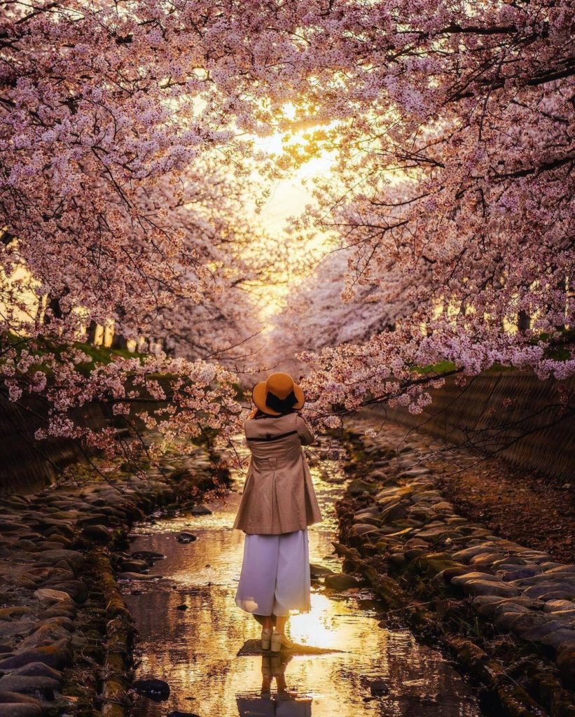 The Kumori River, running through Inami Town in Hyogo’s Kako District, is a hidd...