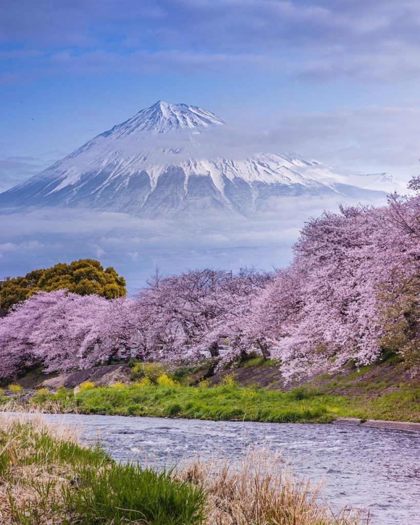 This perfectly dreamy view of Mt Fuji and cherry blossoms can be found at Ryugan...
