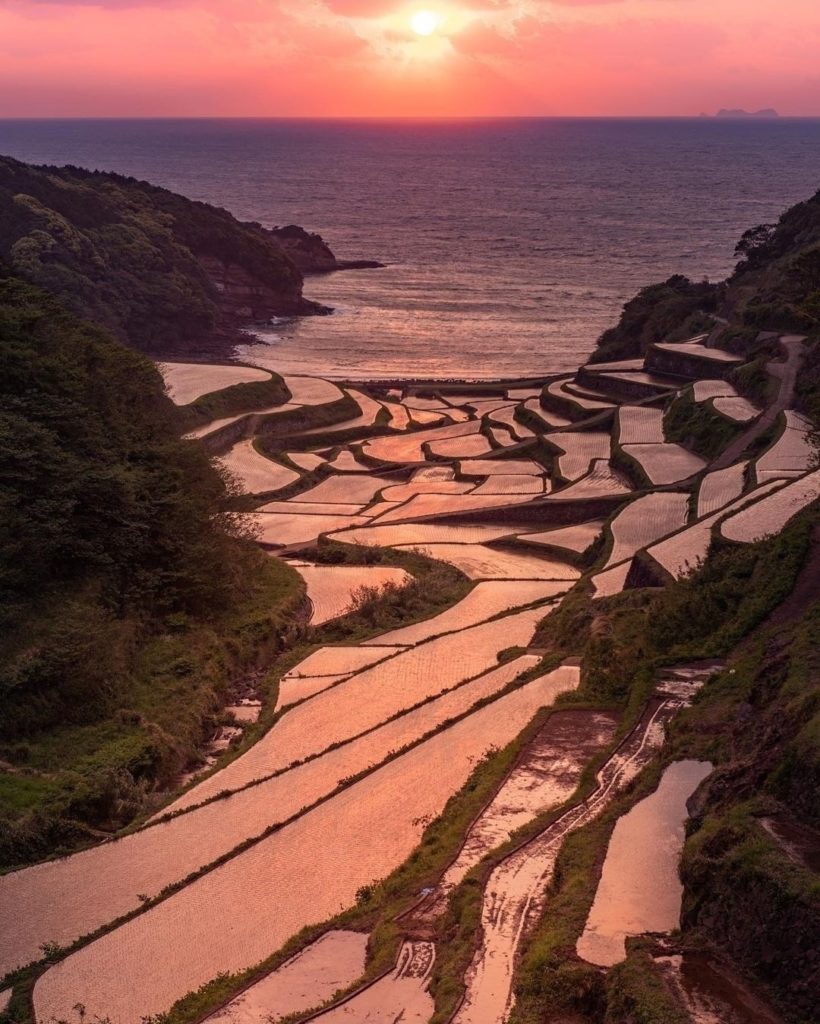 Visit Japan: Rice and shine for these remarkable views of Saga’s Hamanoura Rice Fields overlo… Rice and shine for these remarkable views of Saga's Hamanoura Rice Fields overlo...