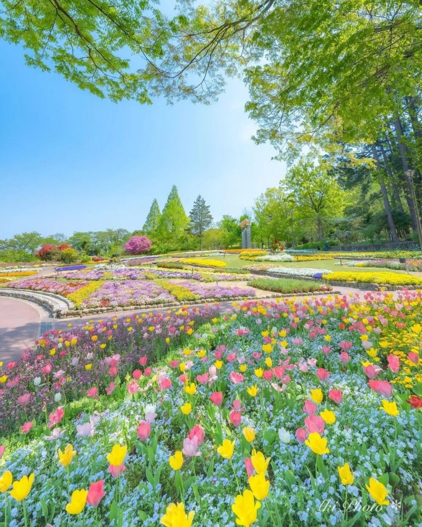 Japan Travel: Osaka Prefecture’s Hana no Bunkaken (also known as the Garden of Floral Culture)… Osaka Prefecture's Hana no Bunkaken (also known as the Garden of Floral Culture)...