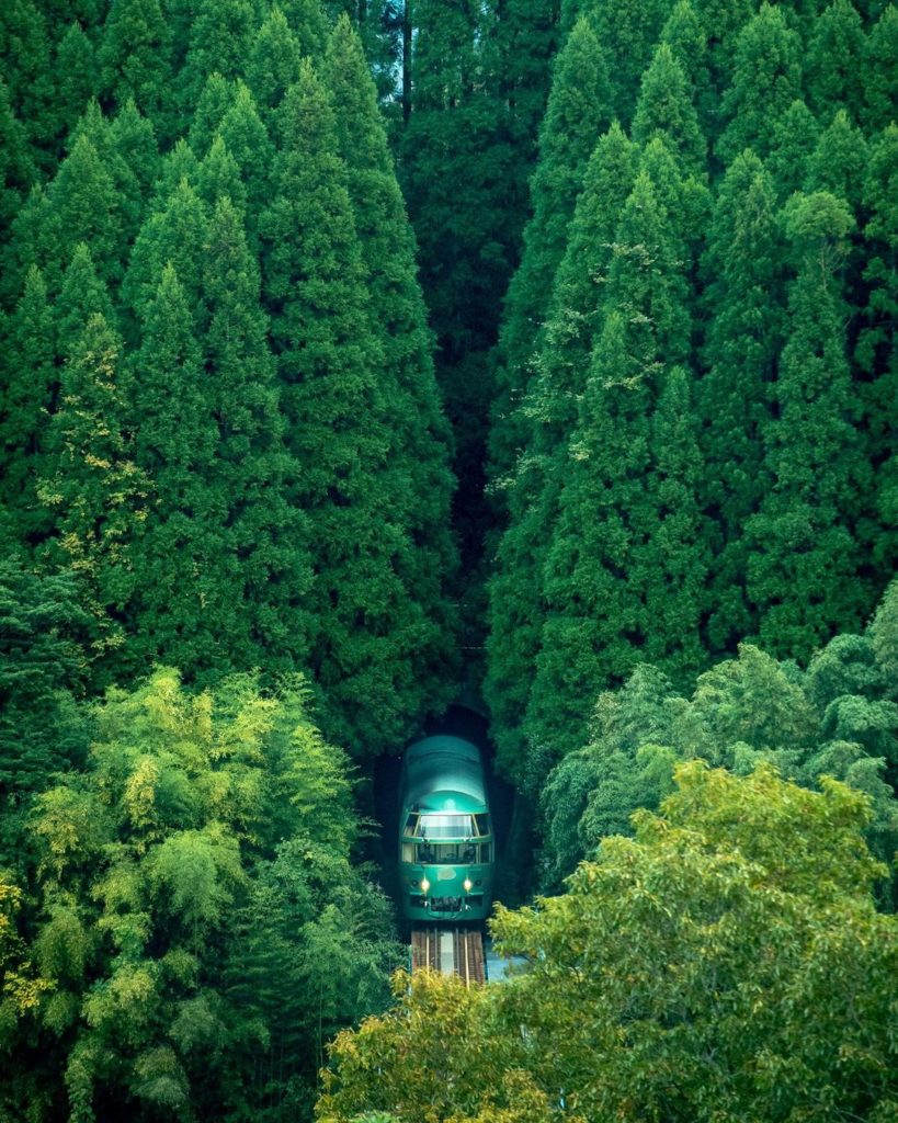 .
新緑のトンネルから現れる特急列車 #ゆふいんの森 
まるで絵本の中から飛び出してきたかのよう
#MyAprilAdventure  In YUFUIN NO...