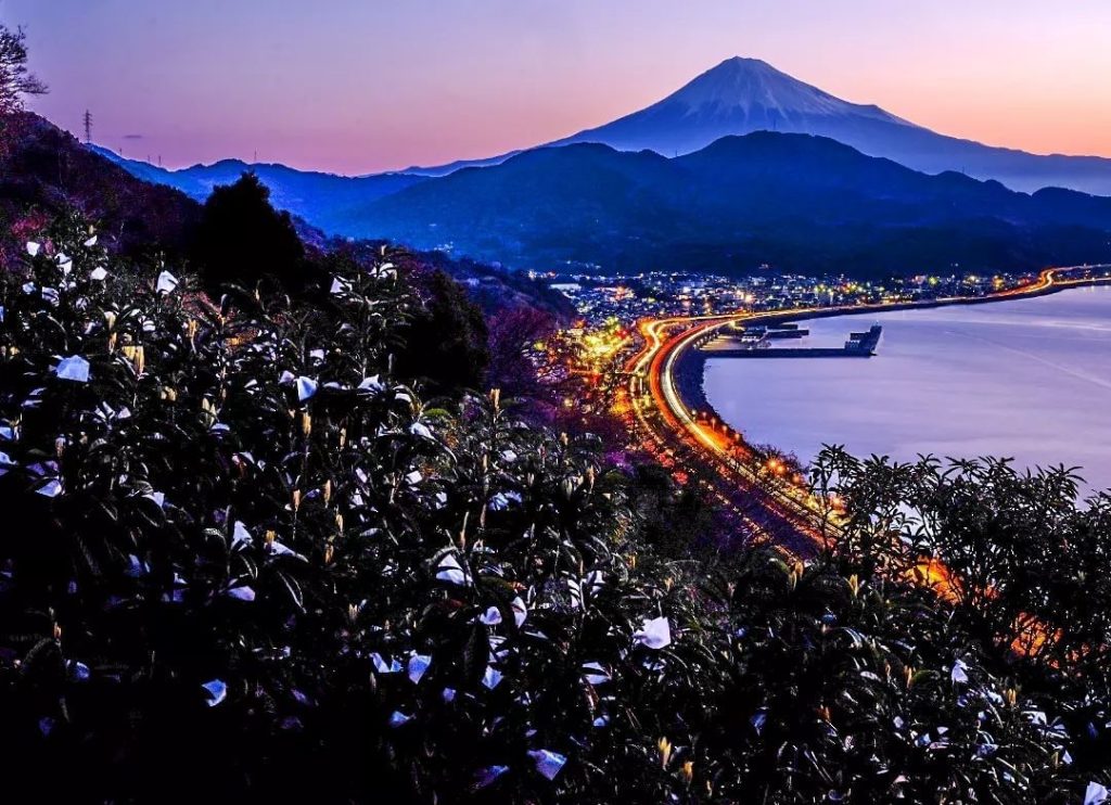 What’s that just soaring out over the ridge just beyond the bay? 
On the coast o...