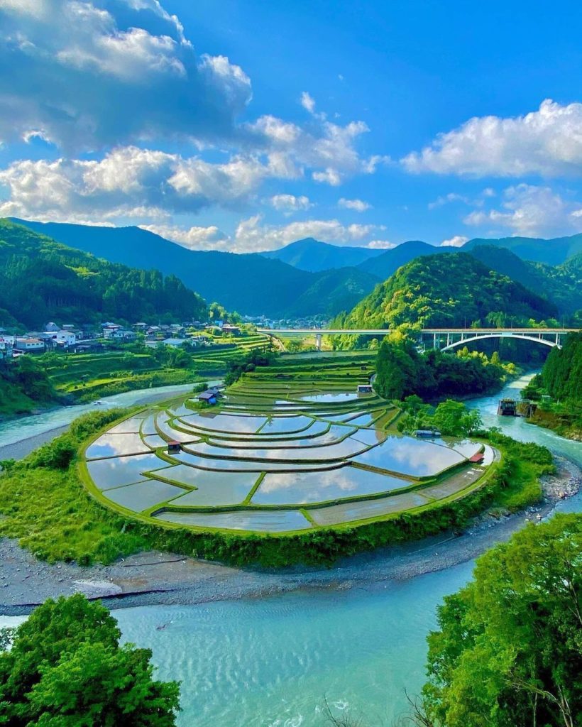 The heart of Aragi-jima Island is its rice terraces, which take on a picturesque...