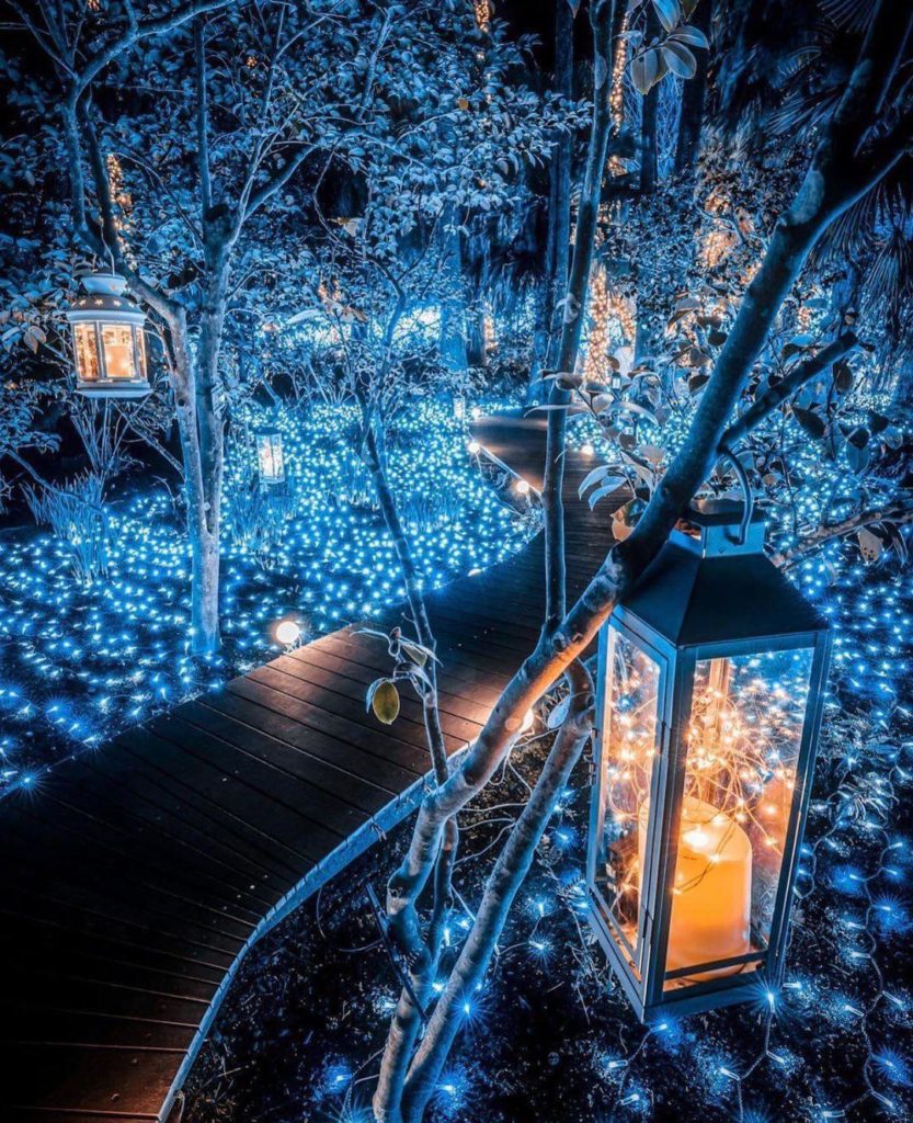 Fairy road in Japan🖤💙