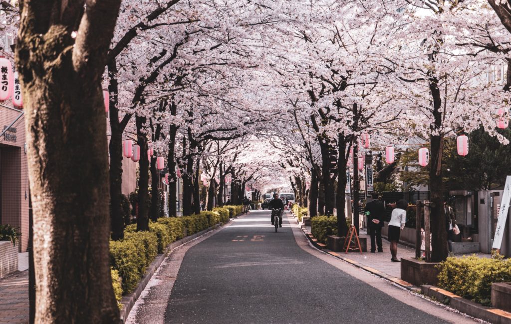 Tachiai-dori -- Nishi-koyama, Tokyo